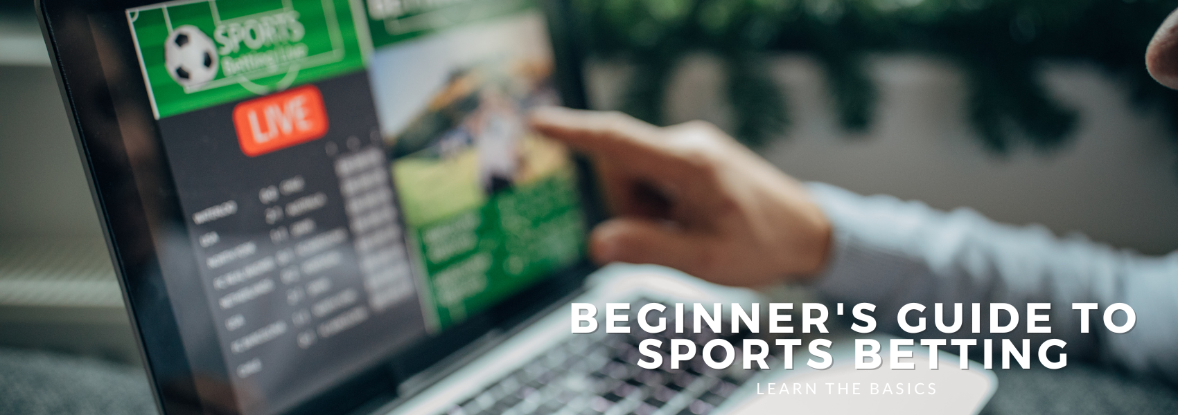 Beginner's Guide To Sports Betting | Learn The Basics